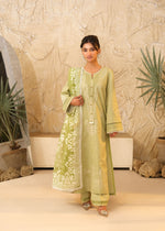 Pistachio green Kurta Set for Women