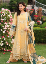 Beige Unstitched for Women