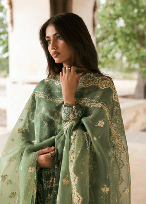 Olive green Unstitched for Women
