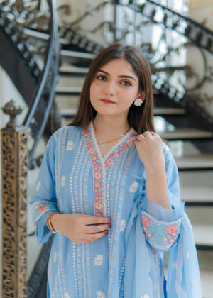 Sky blue Kurta Set for Women