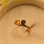 Brown Ring for Women