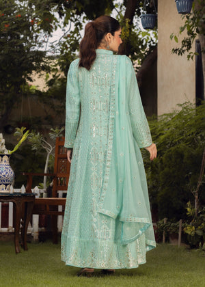 Pastel green Maxi for Women