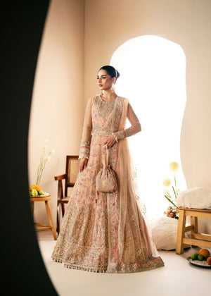 Peach Unstitched for Women
