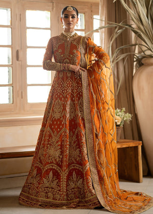 Copper orange Unstitched for Women