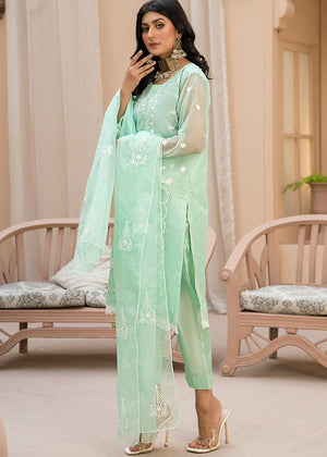 Pastel green Unstitched for Women