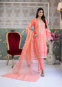 Peach pink Kurta Set for Women