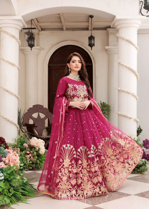 Magenta Lehenga for Women