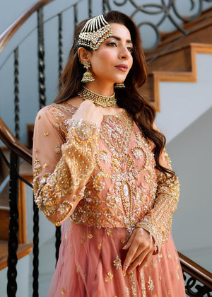 Peach pink Maxi for Women