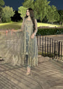 Grey Gown for Women