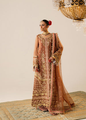 Brown Unstitched for Women