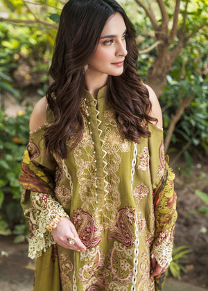 Olive Unstitched for Women