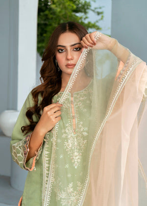 Pistachio green Kurta Set for Women