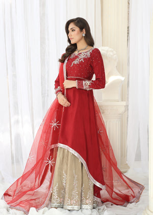 Blood red Pishwas for Women