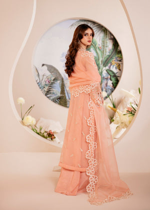 Peach pink Sharara for Women