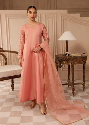 Blush pink Pishwas for Women