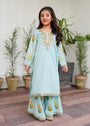 Sky blue Kurta Set for Girl