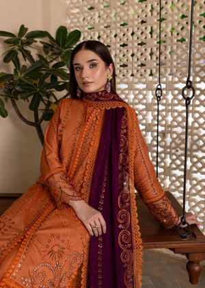 Rust orange Unstitched for Women