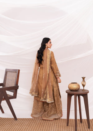 Brown Sharara for Women