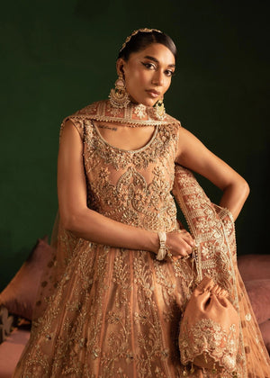 Peach pink Maxi for Women
