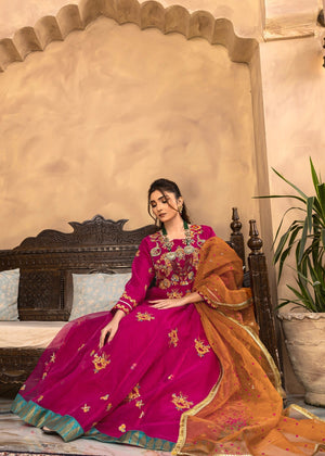 Shocking pink Maxi for Women