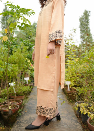 Peach pink Kurta Set for Women