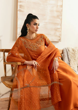 Rust orange Kurta Set for Women