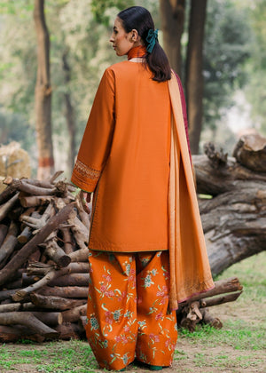 Orange Kurta Set for Women