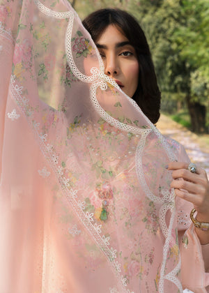 Peach pink Unstitched for Women