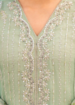 Pistachio green Kurta Set for Women