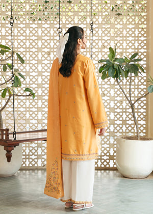 Pumpkin orange Kurta Set for Women