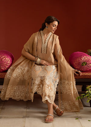 Walnut brown Unstitched for Women