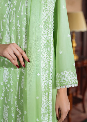 Green Unstitched for Women