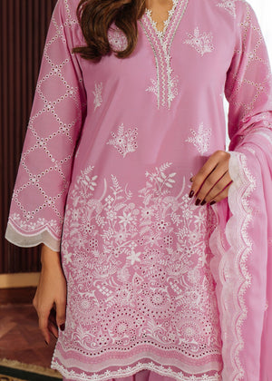 Pink Unstitched for Women