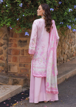 Tea rose Unstitched for Women