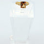 Gold Ring for Women