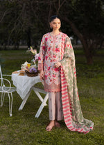 Multi Kurta Set for Women