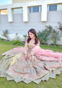 Blush pink Lehenga for Women