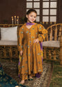 Copper Pishwas for Girl