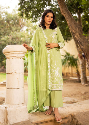Mint green Kurta Set for Women