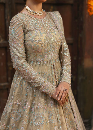 Beige Lehenga for Women