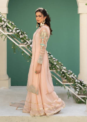 Pink Sharara for Women