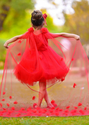 Red Frock for Girl