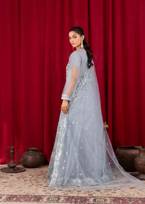 Steal grey Maxi for Women