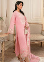 Pink Unstitched for Women