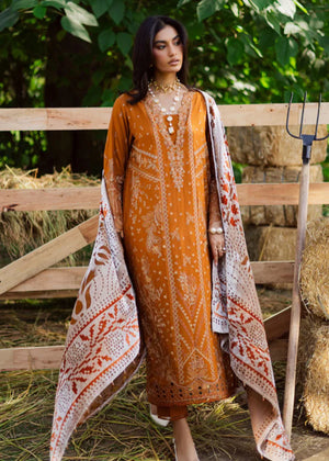 Orange Kurta Set for Women