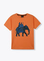 Rust orange T Shirt for Girl