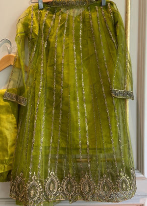 Apple green Gown for Girl