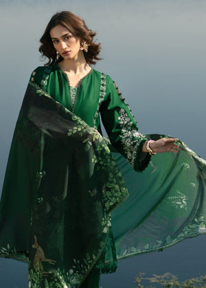 Dark green Kurta Set for Women