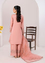 Peach pink Kurta Set for Women