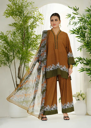 Brown Kurta Set for Women